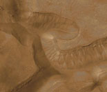 Evidence for Recent Liquid Water on Mars: Gullies in Gorgonum Chaos