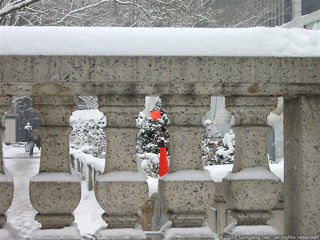 Granite and Orange