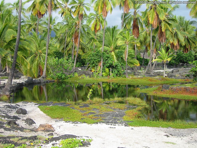 Pu'uhonua Pool